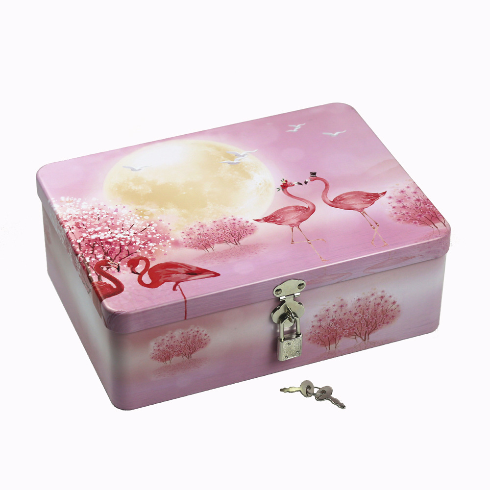 Fábrica en stock al por mayor caja de hojalata rectangular con cerradura de metal grande vintage caja de almacenamiento embalaje de regalo image 13