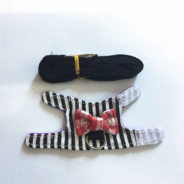 Black Stripe XS