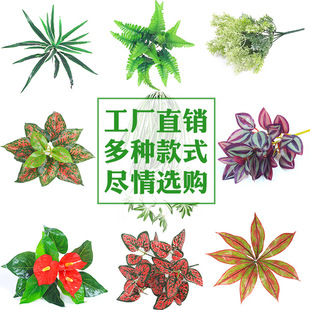 �����˹�ݵ��mֲ�����ֲ���Ĳ�˹�~��ާ��~�ŲݾGֲ����