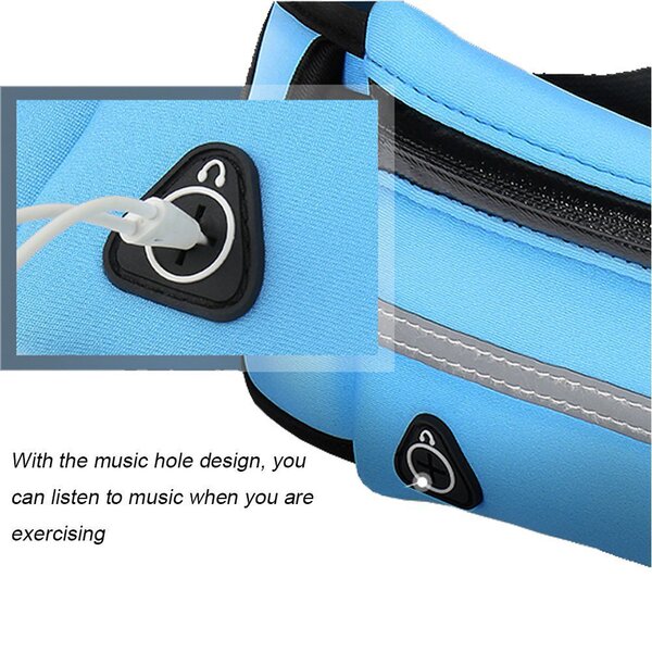 belt bag