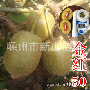 ����������{���Ͻ�t50̖�J����������t�īJ���Ҙ����޽���