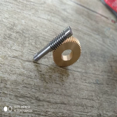 Copper Worm Gear, Worm Diferensial dişli dəstləri