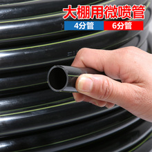 ������4��6��ë�ܹ�ˮϴ܇΢�����@ë�܈@ˇ�r�õι����ù�