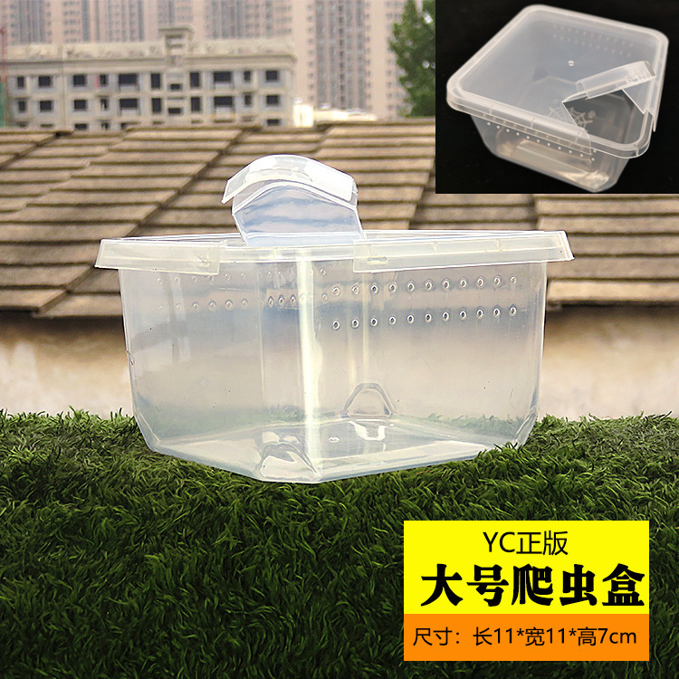 Anti-Prison Break Baby Spider Box Pet Fire Rose Indian Gorgeous Rainforest Sun Tiger Feeding Box Catching Bird Anti-Prison Break Baby Spider Box Pet Fire Rose Indian Gorgeous Rainforest Sun Tiger Feeding Box Catching Bird