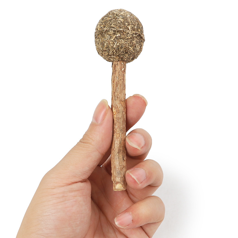 Spot al por mayor Pipi Amoy Bola de pelaje Palillo de limpieza de dientes de gato 1 paquete de juguetes naturales Piruleta de polygonum de madera de menta de gato