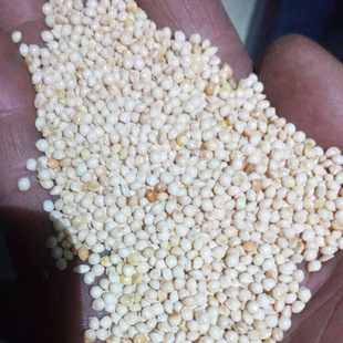 �����Ӻڰ׼t�S����ɫ��������100�� �W�^������С���B�Zʳ