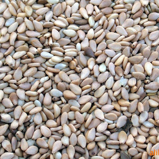 �S֥������֥�� ե��֥��80��/�� ĥ��ĥ�uԭ������֥��