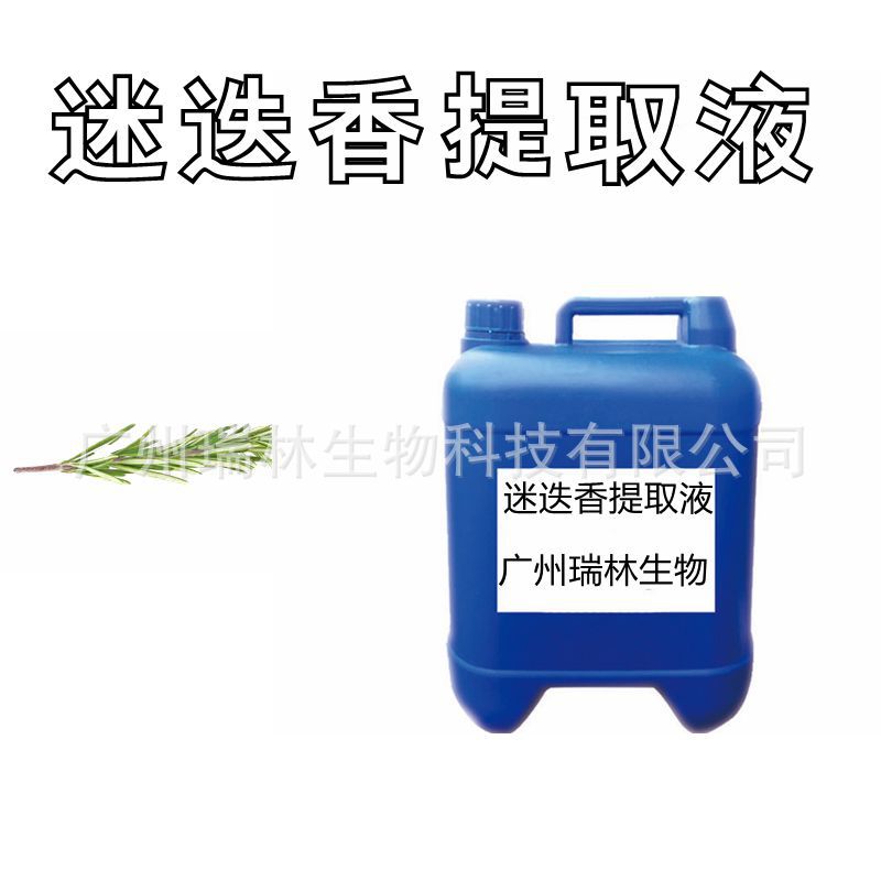 供应  迷迭香提取液 提取物 迷迭香萃取液 植物提取液 1KG起订