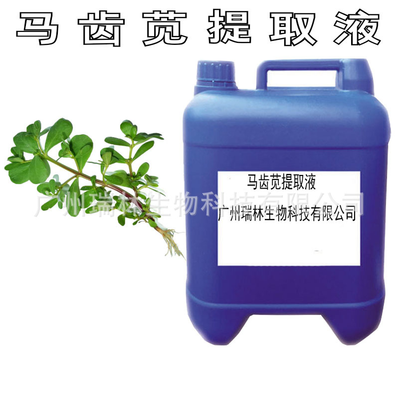 供应 马齿苋提取液 马齿苋萃取液 各类提取液  植物提取液1KG起订