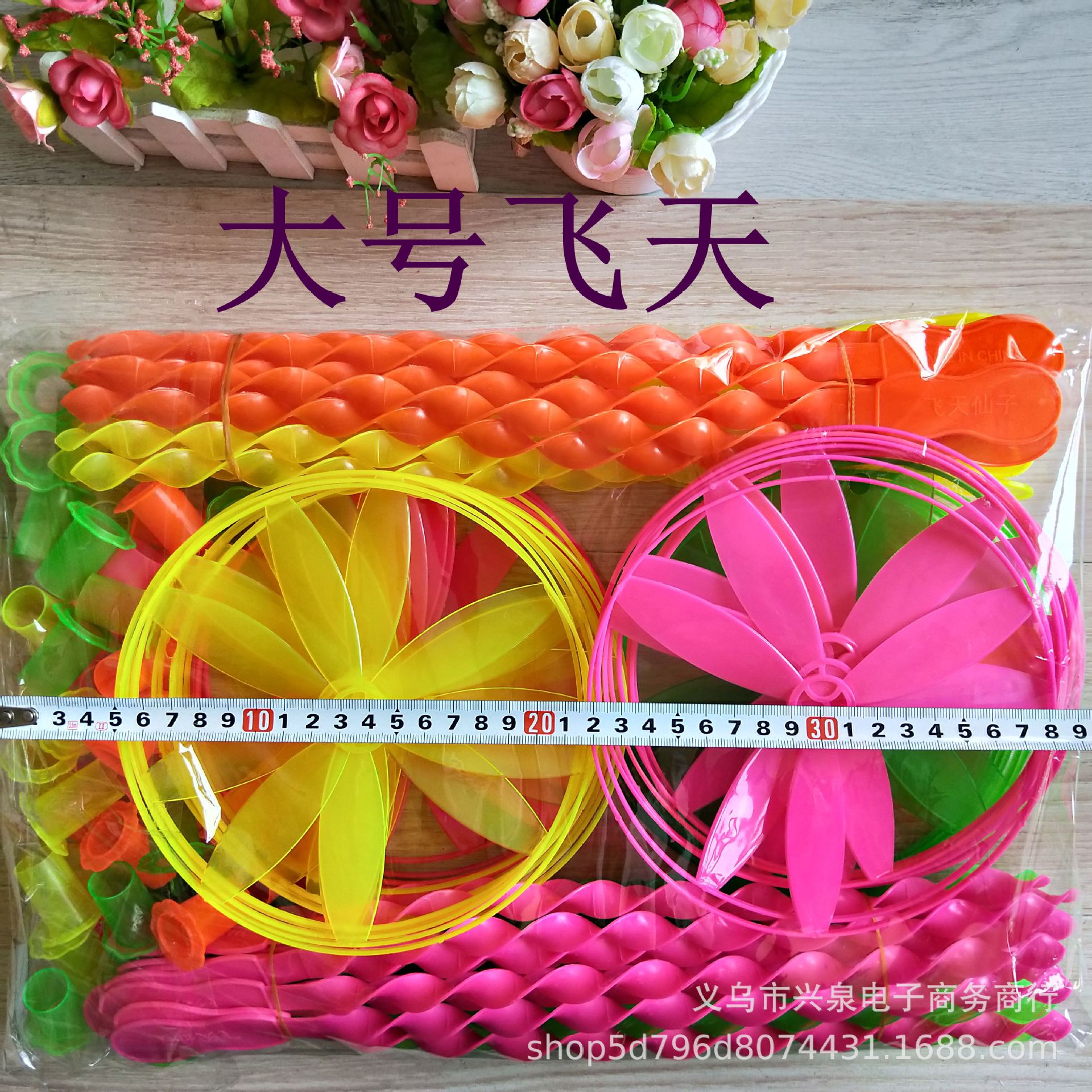 big fairy plastic frisbee