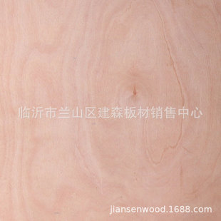 �S�����l���I���a���N�����һ�о2��-5���N���z�ϰ��T�弯�b����