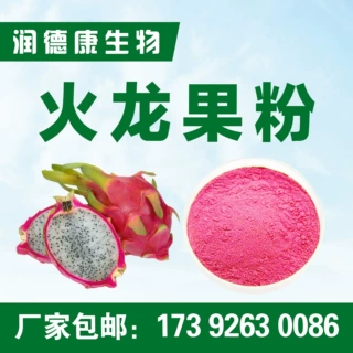 厂家批发 火龙果粉99%  植物果蔬粉速溶火龙果粉固体饮料厂家包邮