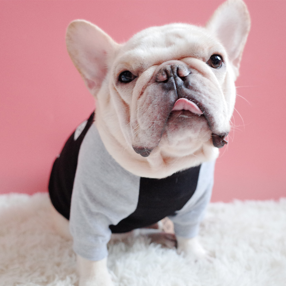 Pet Dog Fashion Sweater Black Close-Up