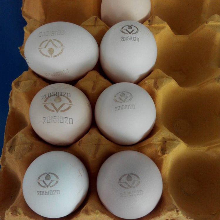 食品蛋壳鸡蛋激光打标机 冷光激光打标机 绿光激光打标机