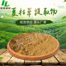 夏枯草提取物   50:1高比例夏枯草粉   水溶性夏枯草提取物原料
