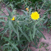 SuݷNϔuݿ˴~{˿ӷNӻ