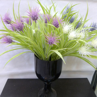 ��������ٲ� ֲëֲ�qˮ�����ݼҾ��҃Ȼ����[�O ����ֲ��ˮ��