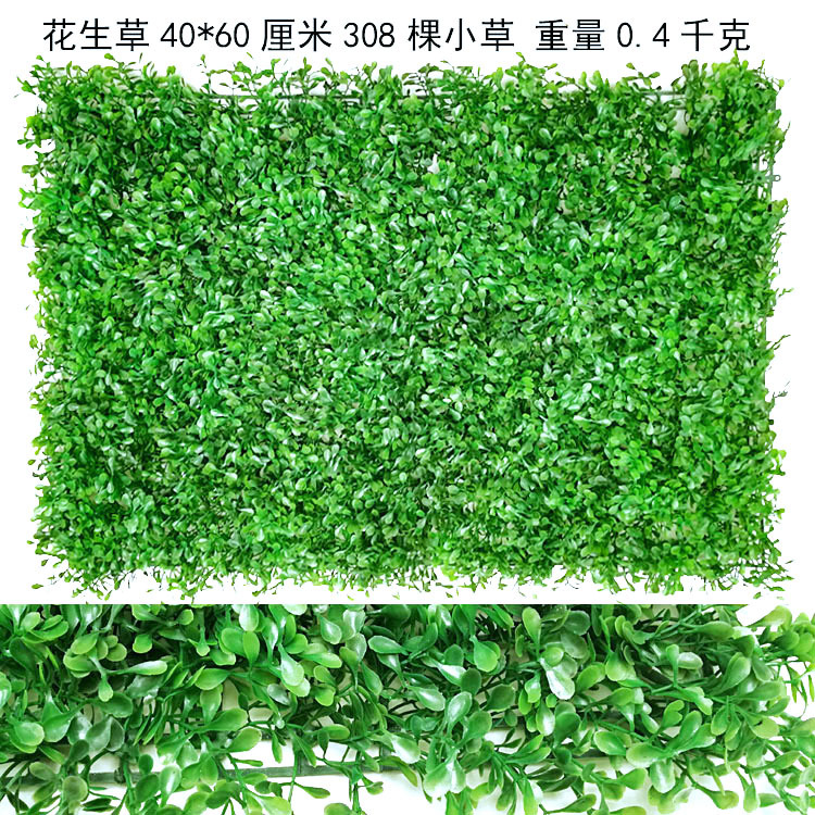 Light-colored peanut leaf lawn