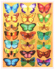 Realistic three dimensional decorations with butterfly on wall for children's room, layout for kindergarten, sticker, 3D