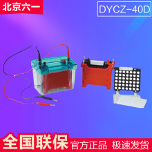 北京六一DYCZ-40D迷你转印电泳仪/迷你转移槽（与DYCZ-24DN使用）