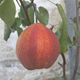 ����1�������ּt�����̩�_�@ˇ�����ּt�������� ռ�����