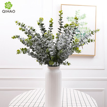 ����Gֲ�ȼ����~ ��c�����bٻ��G�~ �Ҿ��b�������X�~���l