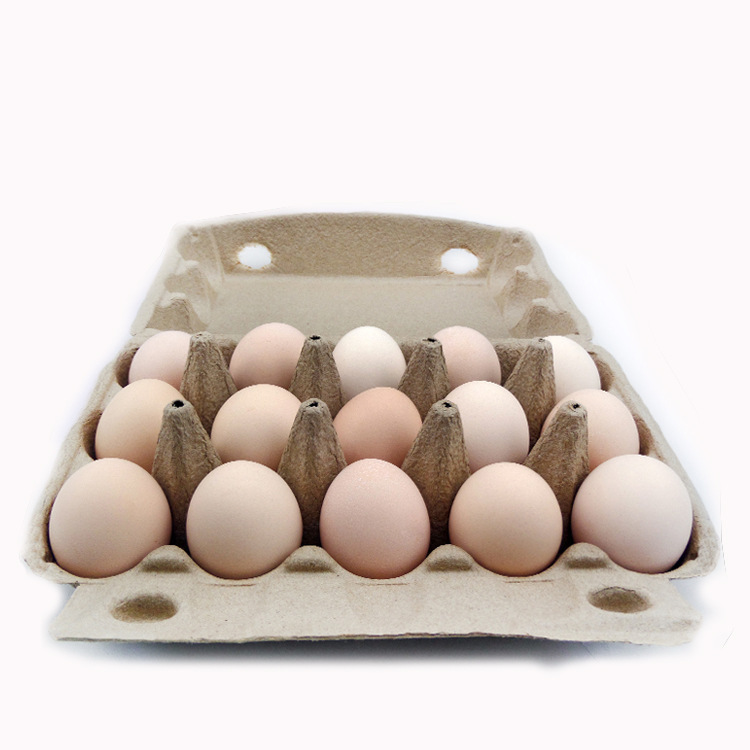 Orden de fábrica 15 cajas de huevos a prueba de humedad respetuoso del medio ambiente pulpa degradable moldeada bandeja de papel caja de embalaje bandeja de huevo del suelo