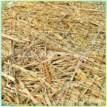 �S�rֱ�N���Sˮ�����o̺ ֲ���W �Gɫ��̺ ���B�o��