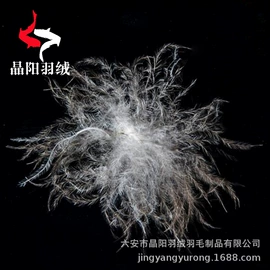 羽毛、羽绒