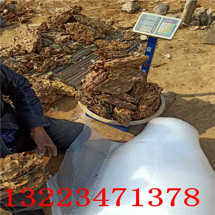 批发精品松皮石 水族造景松皮石 水族造景青龙石 鸡骨石