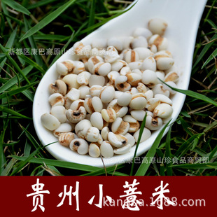 ���l�F��С޲��޲ ޲������ ޲�����^������ă�