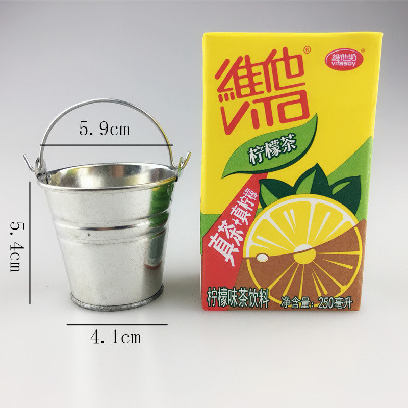 Mini Maceta de Hojalata de Hierro para Suculentas