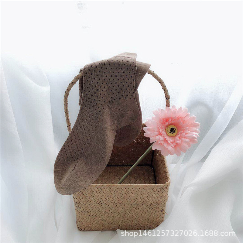 골드 다크 브라운