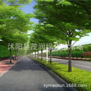 �Θ����ֱ�N���ԬF�ڈ@�־G���е����L���� �t�Θ� ���̾G������