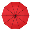 Full automatic double -layer umbrella 10 bone anti -wind trimming men's business umbrella umbrella printing plus logo pattern advertising umbrella