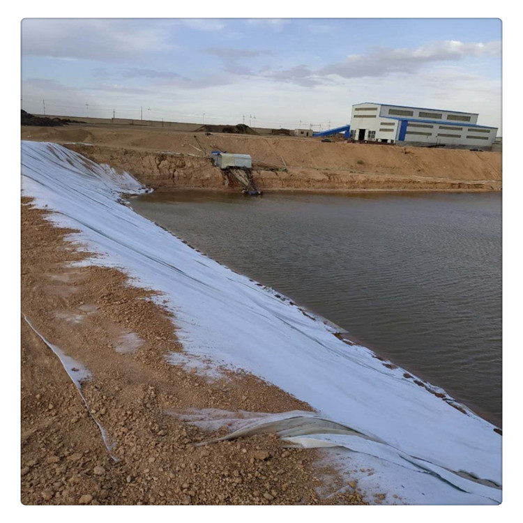 地下室隧道蓄水池鱼塘鱼池膜养殖膜一布一膜两布一膜厂家仓库现货
