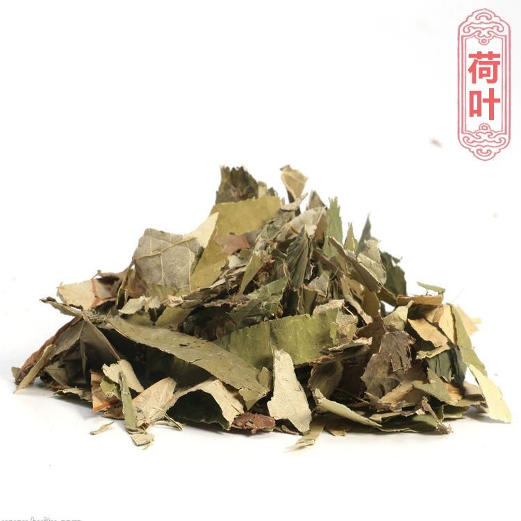 Оптовая продажа китайских травяных препаратов Haoyuntang: новый запас листьев лотоса, порошок листьев лотоса оптом, источник лекарственных материалов с большим запасом и выгодными ценами.