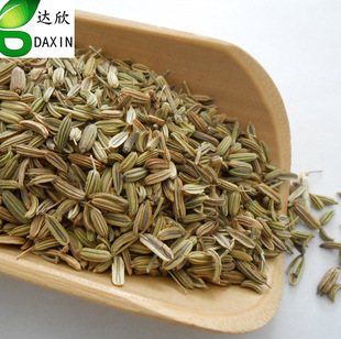 �_�����l  �{�����ș��   С��������ă�