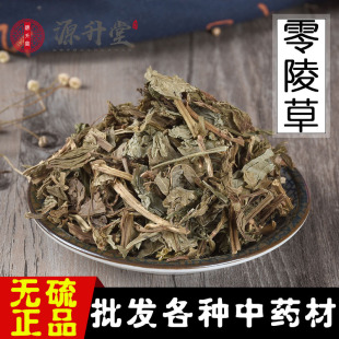 ��ș�Ĺ�������� �o������������ �����`��ݸɃ��o�s����Ѭ��