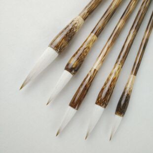 �S�ҹ����������ķ��Č����b����ë�P������M���־������l