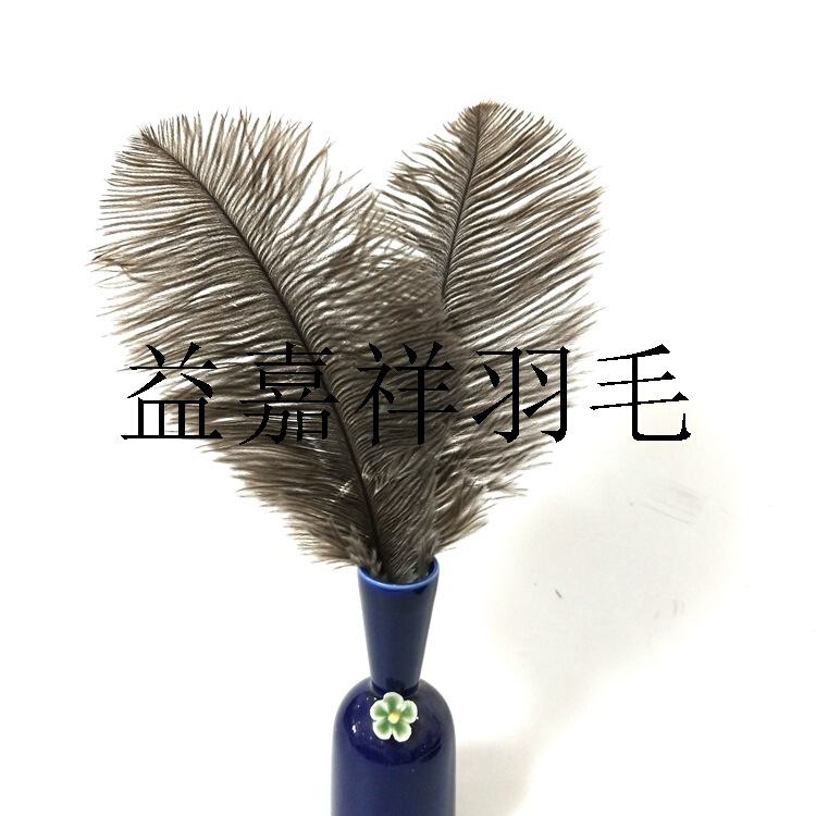 Factory direct spot ostrich feather crafts high quality natural color gray ostrich feather