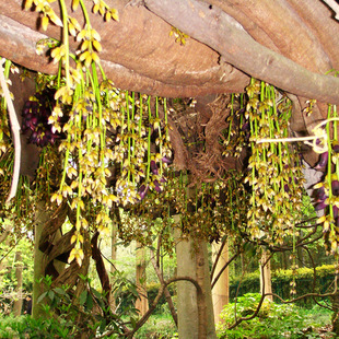 ��ꖷN�I�����ٷN��ţ�R�ٴ�Ѫ��ȸ�������G�����ֲ���N