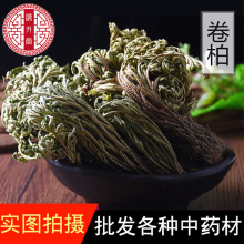 新货卷柏 中草药材供应复活草 无硫九死还魂草 又名不死草