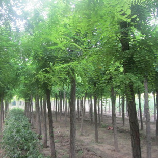 ���ܘ�N�ӽ��~���X����L��ˮ�������}�|�����ֺ��ܴ���ܼ�����