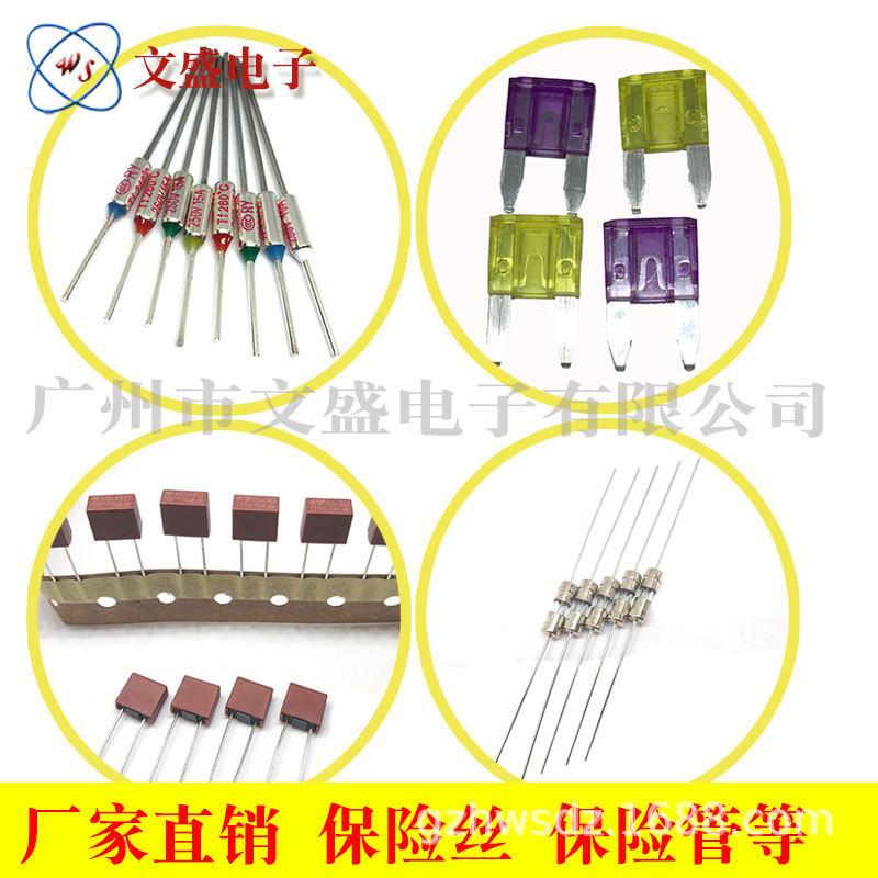 供应方形保险丝汽车保险丝温度保险丝热熔断体器玻璃保险丝