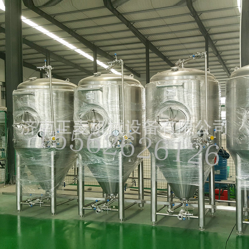 精酿啤酒设备 小型家用酿酒设备 扎啤机 啤酒厂 米酒设备 果酒设