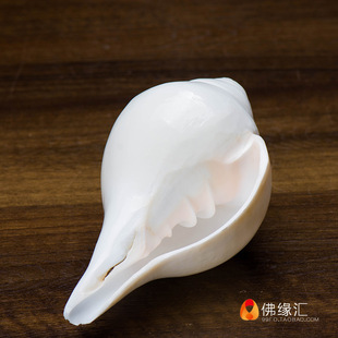 ���� �҃Ȕ[�����ط�����Ʒ��ǰ�˹����������Ȼ�׺��� ���|����