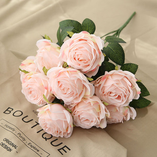 �F؛���l����10�^9ɫǧ��õ��ߙn���滨 ��c�Ҿ�·���bٻ�
