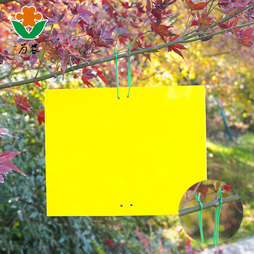Double-sided sticky board, yellow board and blue board, manufacturer wholesale, greenhouse, tea garden, orchard, greenhouse, gardening stickworm prevention