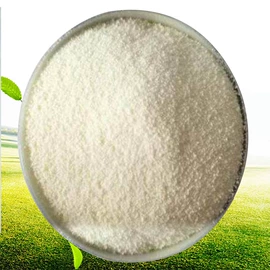 动物胶;热熔胶;天然胶粘剂